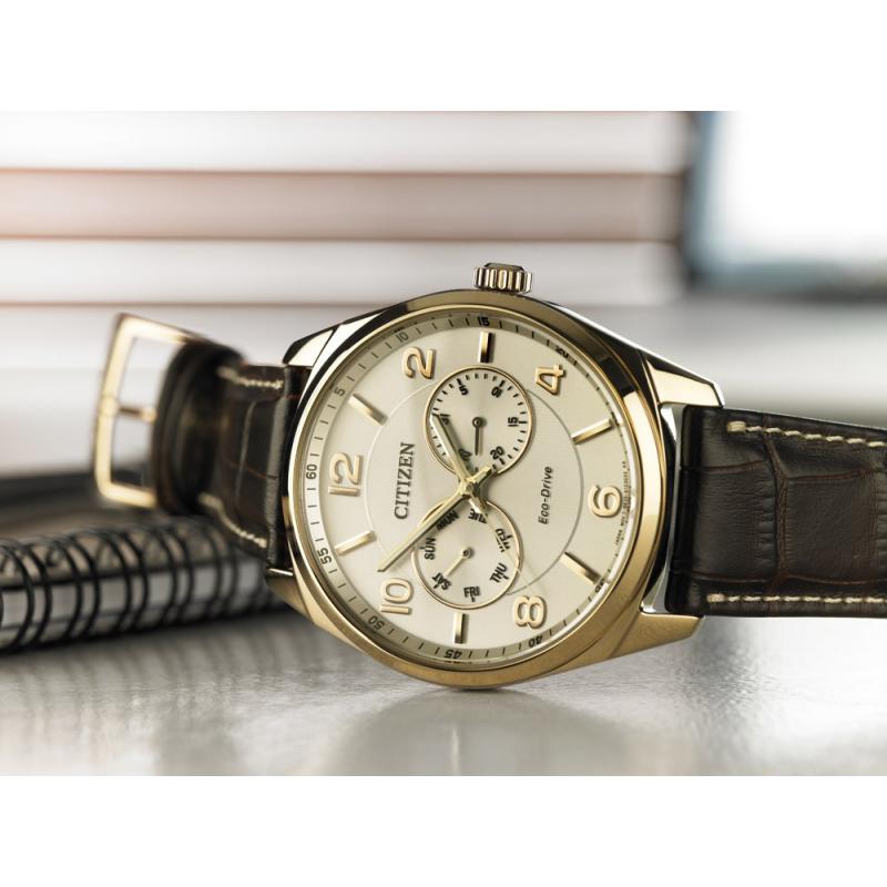citizen watch wr100
