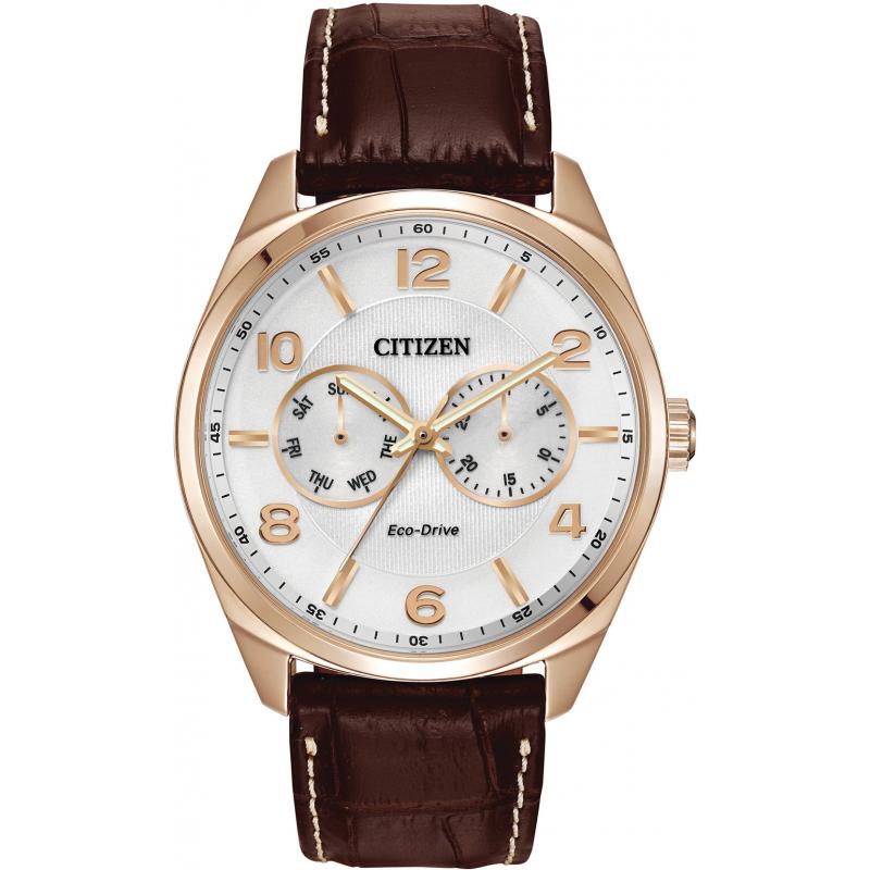 Citizen Eco Drive Day Date WR100 AO9023 01A Watch Shade Station