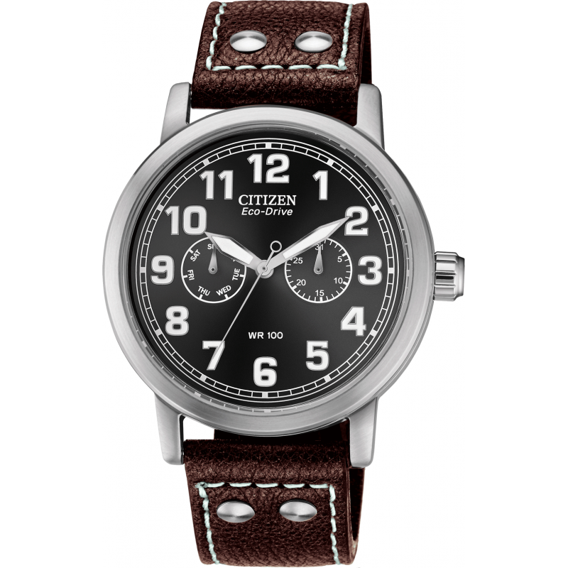 citizen watch wr100