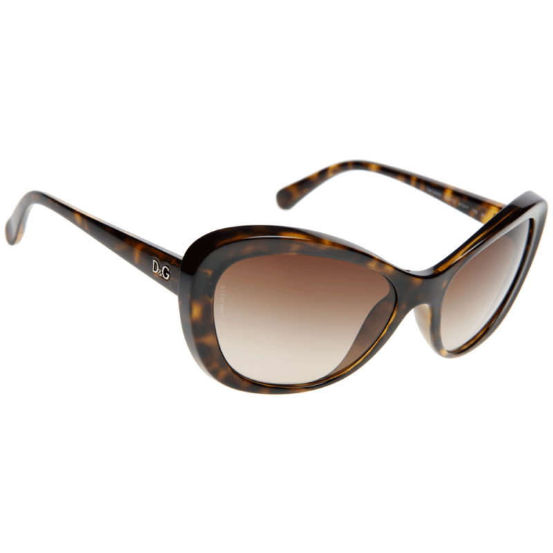 D&G DD8083 502/13 58 Sunglasses Shade Station