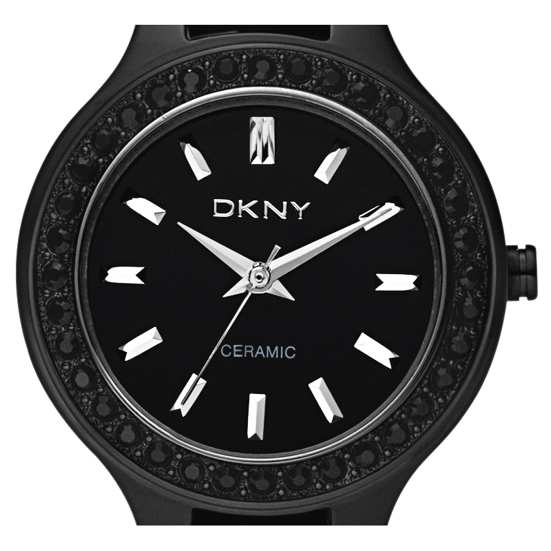 DKNY NY8142 Watch Shade Station