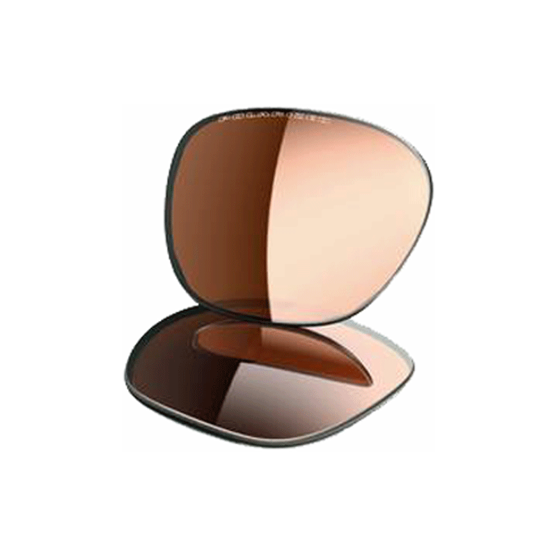 Oakley Frogskins Replacement Lenses Bronze Polarised 43421 Shade Station