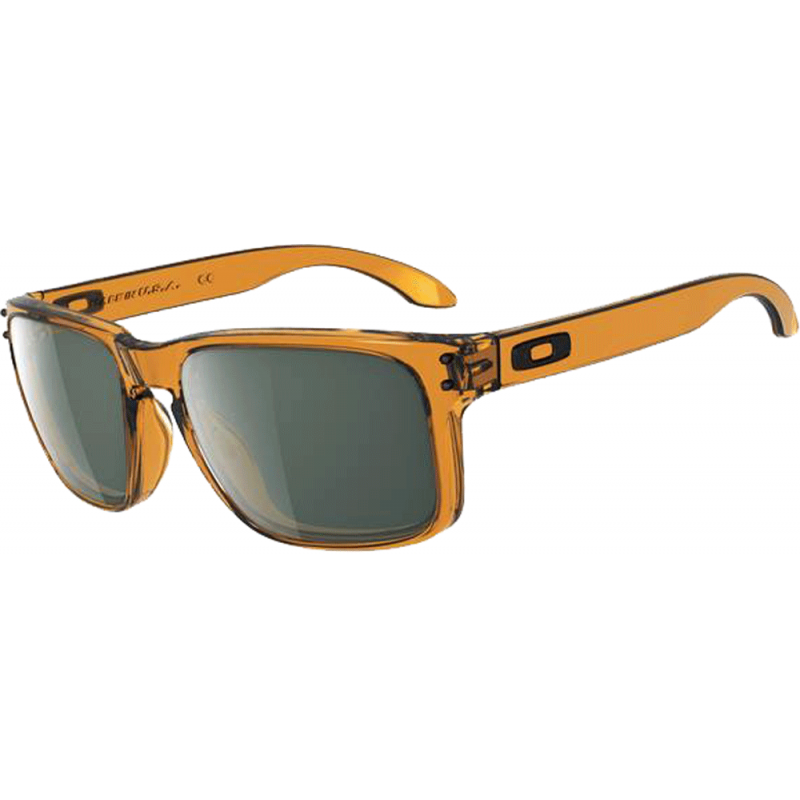 oakley hollbrook oakley hollbrook