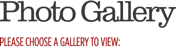Photo Gallery - please choose a gallery to view