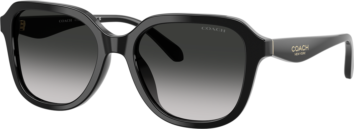 Coach HC8429D 50023C 56 Sunglasses | Shade Station