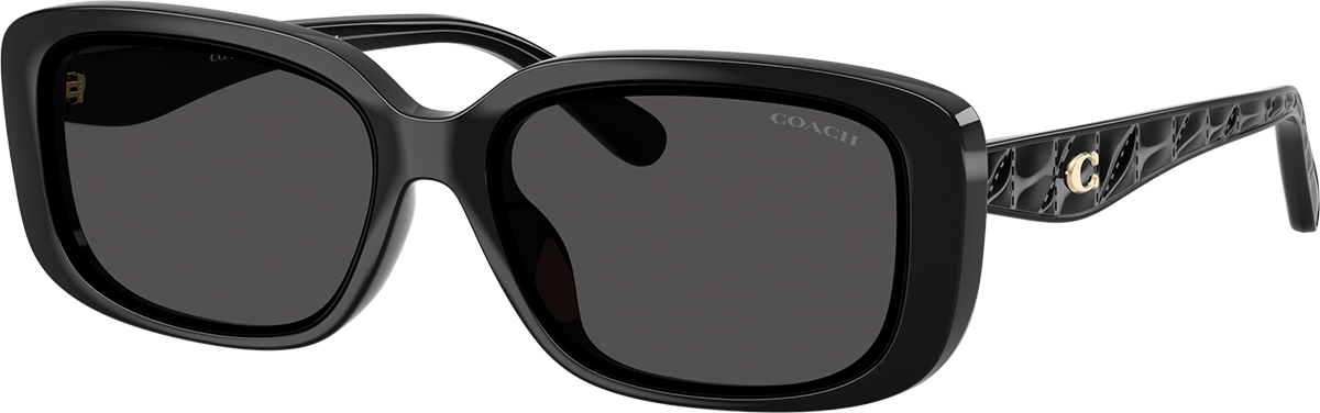 COACH HC8429D Black Women\'s Sunglasses 56mm 18mm 145mm Coach HC8429D 50023C 56 Sunglasses | Shade Station main image 2