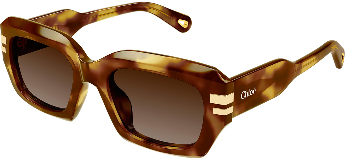 Chloé CH0192S 002 Havana Cat-Eye Sunglasses Gradient Lens Chloé CH0192S 002 Sunglasses Shiny Havana - eye-oo.com main image 2