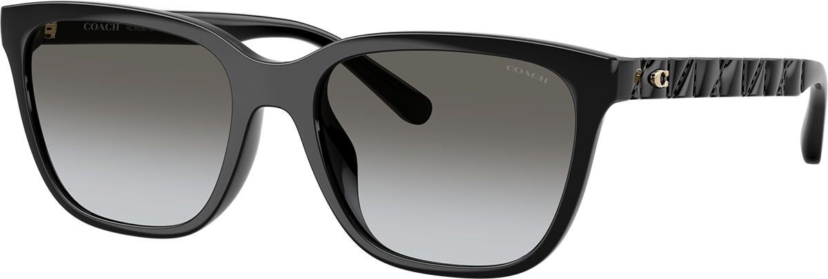 COACH HC8429D Black Women\'s Sunglasses 56mm 18mm 145mm Coach HC8429D 50023C 56 Sunglasses | Shade Station main image 3