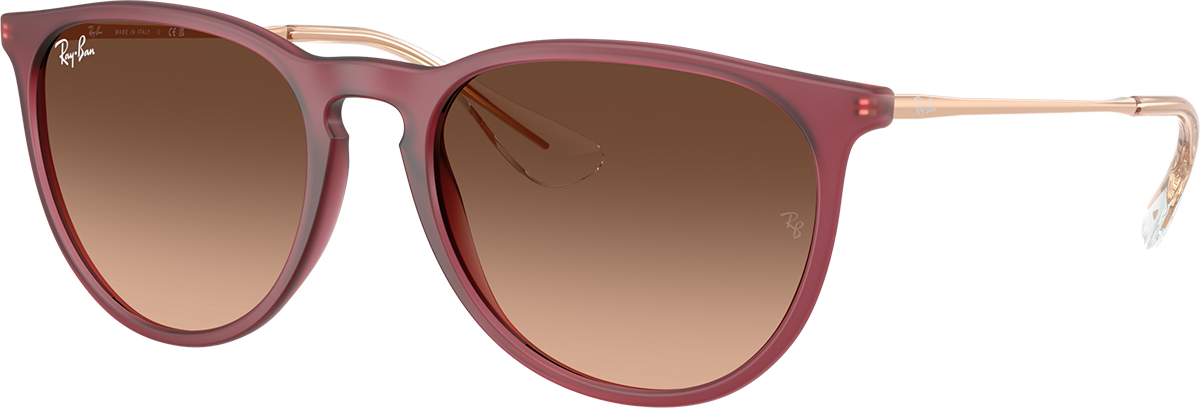 Ray-ban Pink Matte Frame Erika sunglasses RB4171 Ray-Ban RB4171 Erika Classic M (54 - 18) with Pink lenses  main image 4