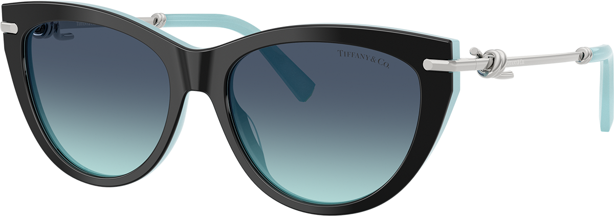 Tiffany & Co TF4121B 80559S 55 Sunglasses | Shade Station display picture 1