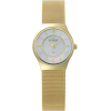 Gallery thumbnail for /media/thumbs/100x100/media/product_images/Skagen-Watches-233XSGGfw100fh100.png