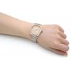 Gallery thumbnail for /media/thumbs/100x100/media/product_images/Vivienne-Westwood-Watches-VV244CPSG-dfw100fh100.jpg