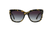 Gallery thumbnail for /media/thumbs/100x62.5/media/luximages/0DG4197__27458G_000Afw100fh62.5.png