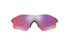 Gallery thumbnail for /media/thumbs/100x62.5/media/luximages/0OO9308__930823_000Afw100fh62.5.png