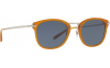 Gallery thumbnail for /media/thumbs/100x62.5/media/luximages/0OV5350S__1578R5_330Afw100fh62.5.png