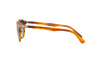 Gallery thumbnail for /media/thumbs/100x62.5/media/luximages/0PO3108S__960_S3_090Afw100fh62.5.png