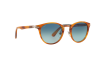 Gallery thumbnail for /media/thumbs/100x62.5/media/luximages/0PO3108S__960_S3_330Afw100fh62.5.png