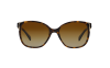 Gallery thumbnail for /media/thumbs/100x62.5/media/luximages/0PR_01OS__2AU6E1_000Afw100fh62.5.png