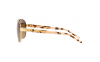 Gallery thumbnail for /media/thumbs/100x62.5/media/luximages/0RA4004__9411T5_090Afw100fh62.5.png
