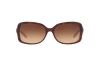 Gallery thumbnail for /media/thumbs/100x62.5/media/luximages/0RA5130__159613_000Afw100fh62.5.png