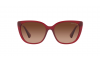 Gallery thumbnail for /media/thumbs/100x62.5/media/luximages/0RA5274__5800T5_000Afw100fh62.5.png