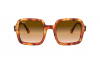 Gallery thumbnail for /media/thumbs/100x62.5/media/luximages/0RB2188__130051_000Afw100fh62.5.png