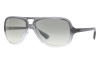 Gallery thumbnail for /media/thumbs/100x62.5/media/luximages/0RB4162__818_32fw100fh62.5.png