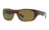 Gallery thumbnail for /media/thumbs/100x62.5/media/luximages/0RB4177__710_57fw100fh62.5.png