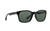 Gallery thumbnail for /media/thumbs/100x62.5/media/luximages/0RB4197__601_71_330Afw100fh62.5.png