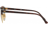Gallery thumbnail for /media/thumbs/100x62.5/media/luximages/0RB4246__990_090Afw100fh62.5.png