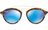 Gallery thumbnail for /media/thumbs/100x62.5/media/luximages/0RB4257__609255_000Afw100fh62.5.png