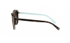 Gallery thumbnail for /media/thumbs/100x62.5/media/luximages/0TF4152__80153B_090Afw100fh62.5.png