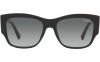 Gallery thumbnail for /media/thumbs/100x62.5/media/luximages/0VO5462S__W44_11_000Afw100fh62.5.png