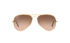 Gallery thumbnail for /media/thumbs/100x62.5/media/luximages/140207_000Afw100fh62.5.png
