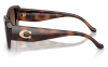 Gallery thumbnail for /media/thumbs/100x62.5/media/product_images/Caoch-Sunglasses-HC8435U-5120T5-Cfw100fh62.5.png