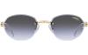 Gallery thumbnail for /media/thumbs/100x62.5/media/product_images/Carrera-Sunglasses-CARRERA-1088-S-2F7GB-P02fw100fh62.5.jpg