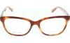 Gallery thumbnail for /media/thumbs/100x62.5/media/product_images/Jimmy-Choo-Glasses-JC109-EHO-52-frontfw100fh62.5.jpg
