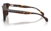 Gallery thumbnail for /media/thumbs/100x62.5/media/product_images/Moncler-Sunglasses-ME6018-300273-Cfw100fh62.5.png