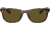 Gallery thumbnail for /media/thumbs/100x62.5/media/product_images/Polo-Ralph-Lauren-Sunglasses-PP9507U-500373-frfw100fh62.5.png