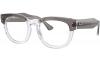 Gallery thumbnail for /media/thumbs/100x62.5/media/product_images/Ray-Ban-Glasses-RX0298V-8111-anglefw100fh62.5.jpg
