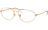 Gallery thumbnail for /media/thumbs/100x62.5/media/product_images/Ray-Ban-Glasses-RX6645-3086-Afw100fh62.5.png