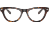 Gallery thumbnail for /media/thumbs/100x62.5/media/product_images/Ray-Ban-RX5510__2012__frfw100fh62.5.png