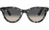 Gallery thumbnail for /media/thumbs/100x62.5/media/product_images/Ray-Ban-Sunglasses-RB2241__133371fw100fh62.5.jpg