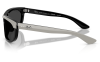 Gallery thumbnail for /media/thumbs/100x62.5/media/product_images/Ray-Ban-Sunglasses-RB2489-144248-Cfw100fh62.5.png