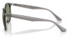 Gallery thumbnail for /media/thumbs/100x62.5/media/product_images/Ray-Ban-Sunglasses-RB4306-687382-Dfw100fh62.5.png