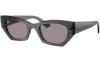 Gallery thumbnail for /media/thumbs/100x62.5/media/product_images/Ray-Ban-Sunglasses-RB4430-69241A-Afw100fh62.5.jpg