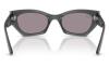Gallery thumbnail for /media/thumbs/100x62.5/media/product_images/Ray-Ban-Sunglasses-RB4430-69241A-Dfw100fh62.5.jpg
