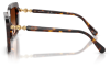Gallery thumbnail for /media/thumbs/100x62.5/media/product_images/Swarovski-Sunglasses-SK6049-100274-Cfw100fh62.5.png