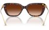 Gallery thumbnail for /media/thumbs/100x62.5/media/product_images/Swarovski-Sunglasses-SK6065U-100274-Dfw100fh62.5.jpg