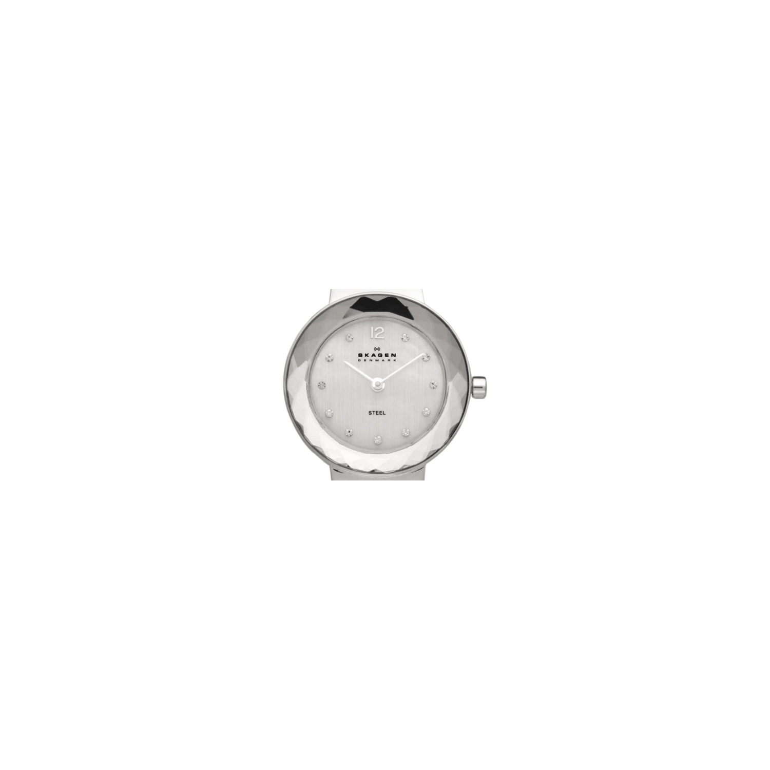 Skagen 456SSS Watch